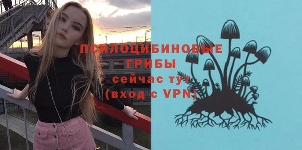 СК Алзамай