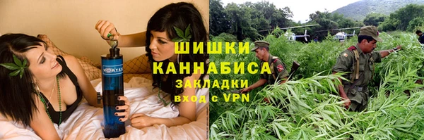 PSILOCYBIN Навашино